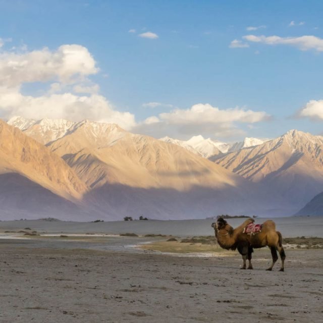 NUBRA VALLEY & TURTUK – Sand Dunes of the High Desert
