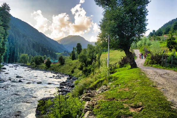 The Aru Valley Riverine Retreat (South Kashmir)