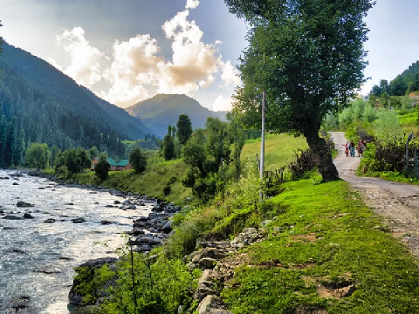 The Aru Valley Riverine Retreat (South Kashmir)