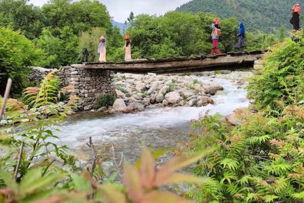 The Hidden Forest Retreat (South Kashmir)