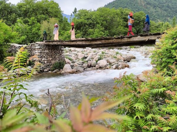 The Hidden Forest Retreat (South Kashmir)