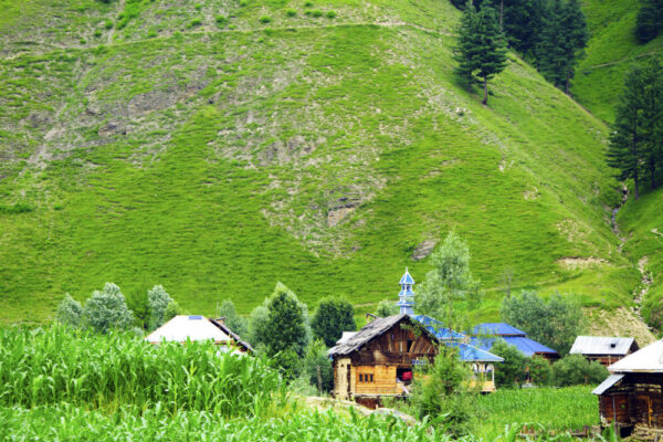 The Oval of Love (North-West Kashmir)