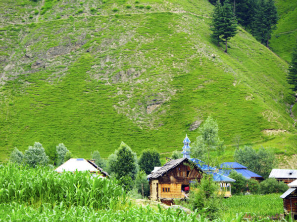 The Oval of Love (North-West Kashmir)